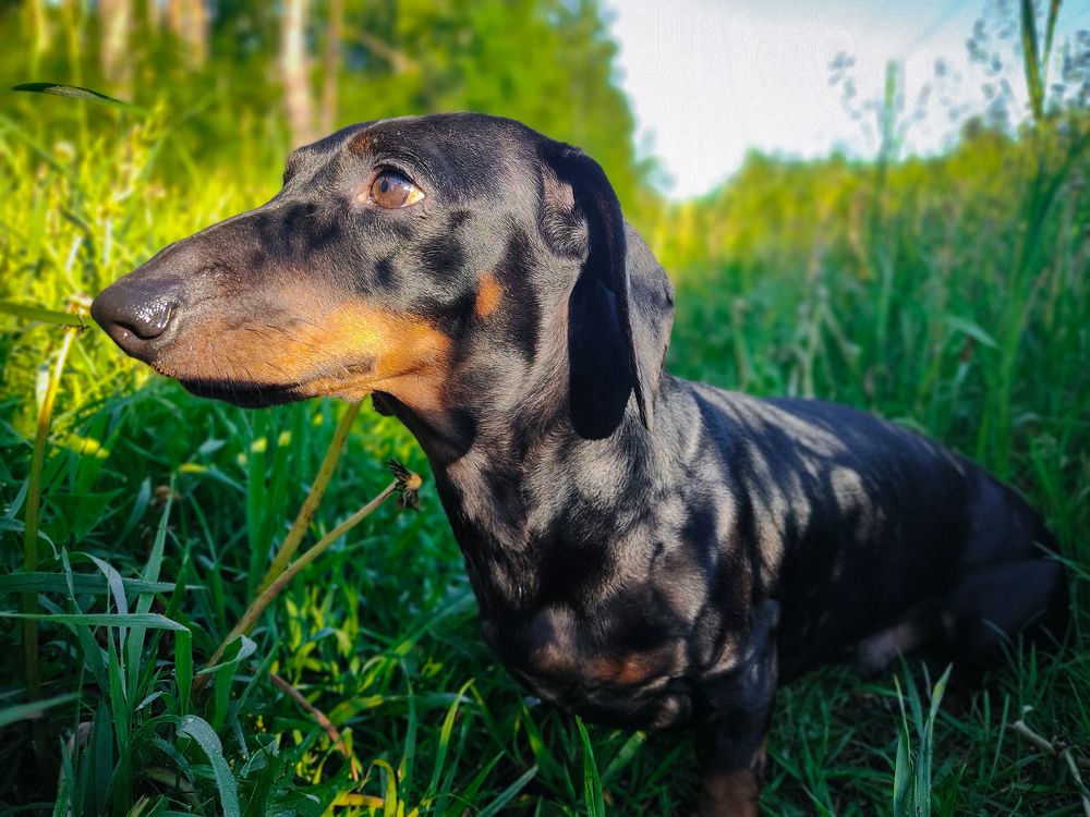 Photograph by Дмитрий Тимин