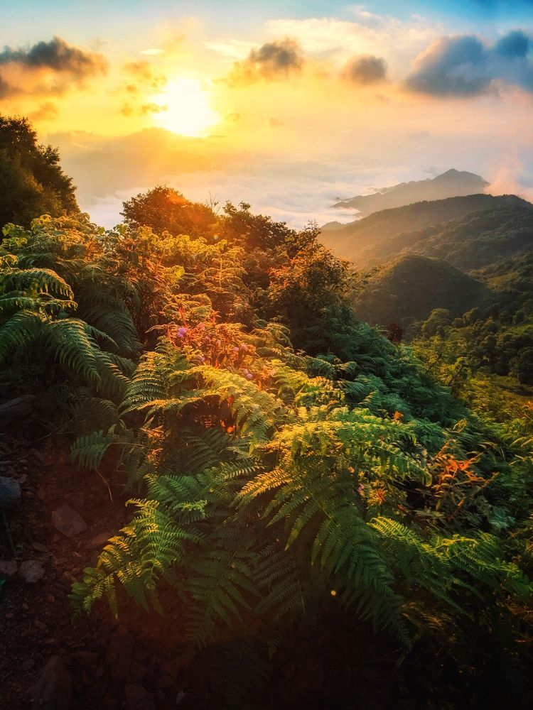 Photograph by HIẾU nguyễn