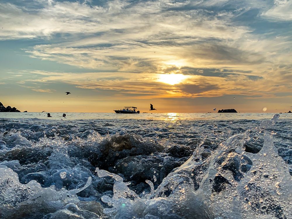 Photograph by Oxana Telupilova