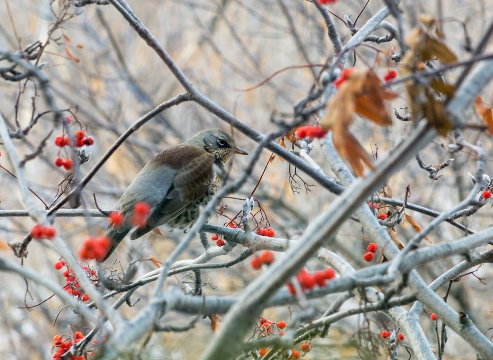 Photograph by Виктор Петров