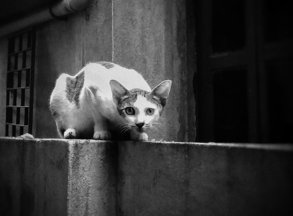 Photograph by SOURAV MAHATA