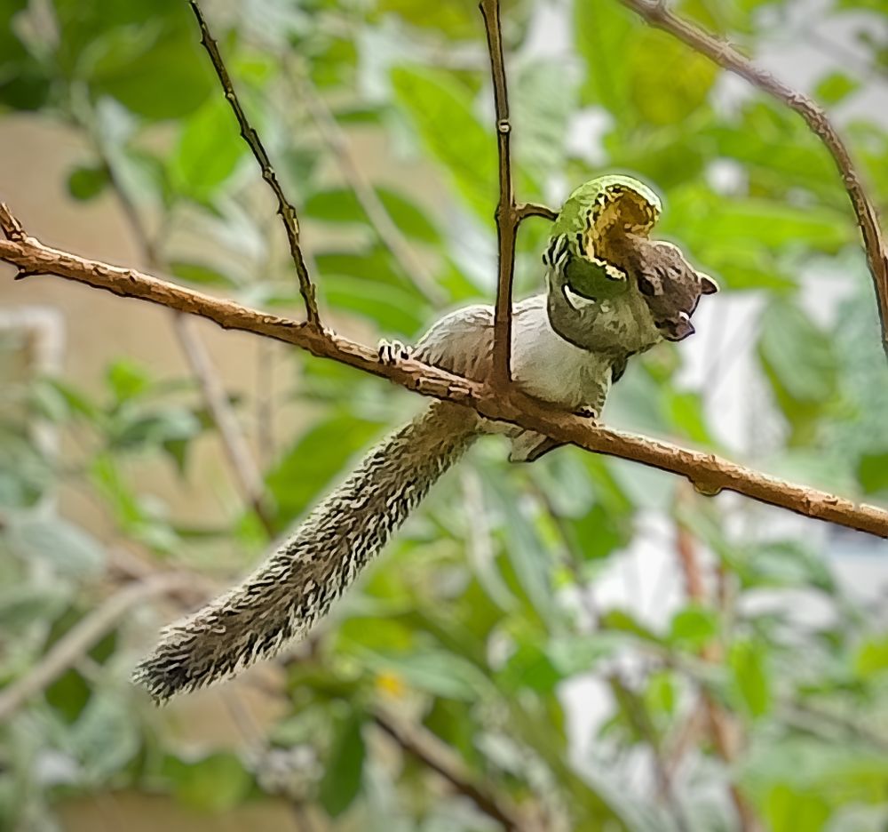 Photograph by SOURAV MAHATA