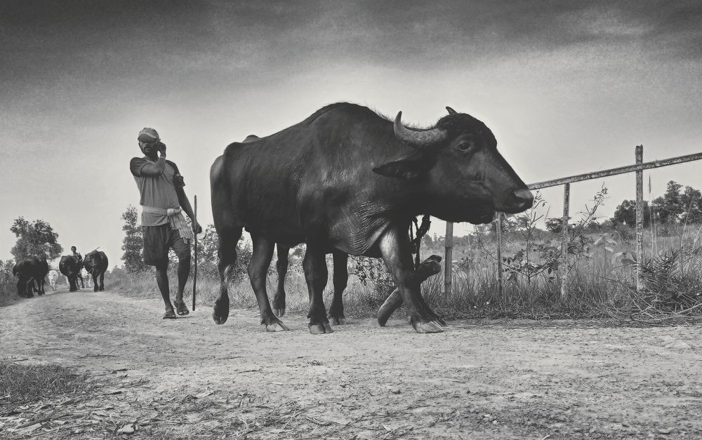 Photograph by SOURAV MAHATA
