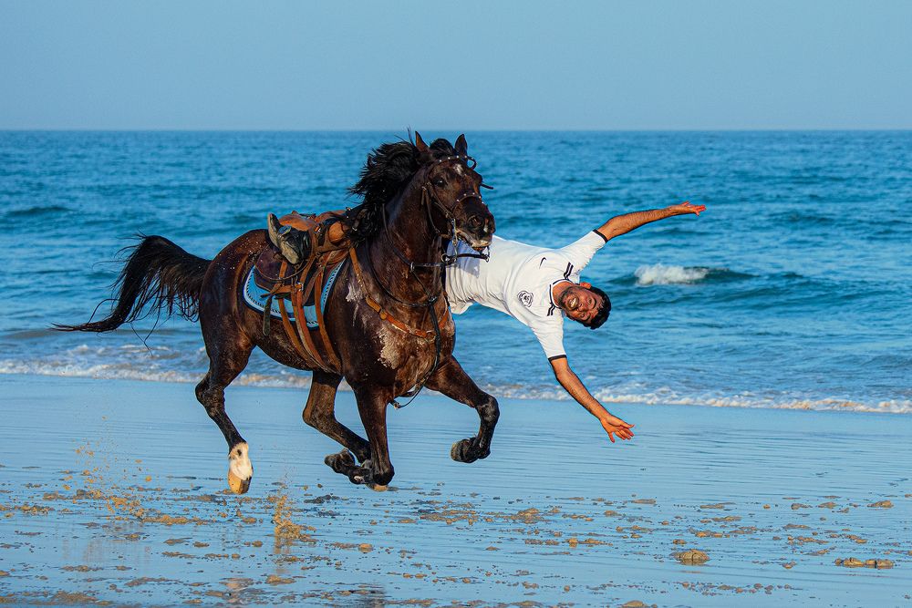 Фотография автора salem sultan