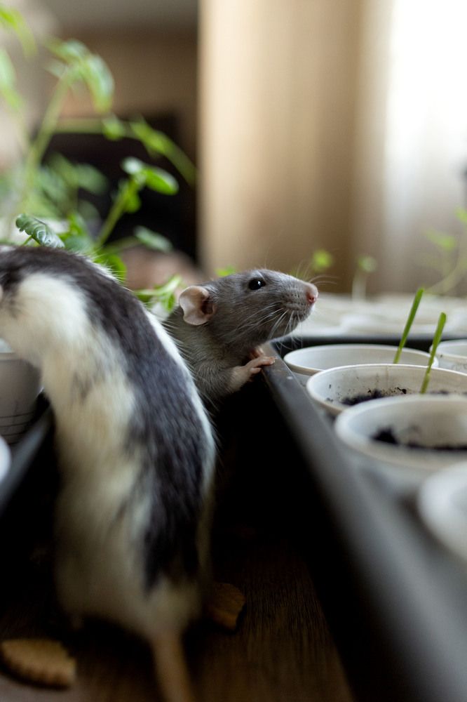 Photograph by Ирина Целовальникова