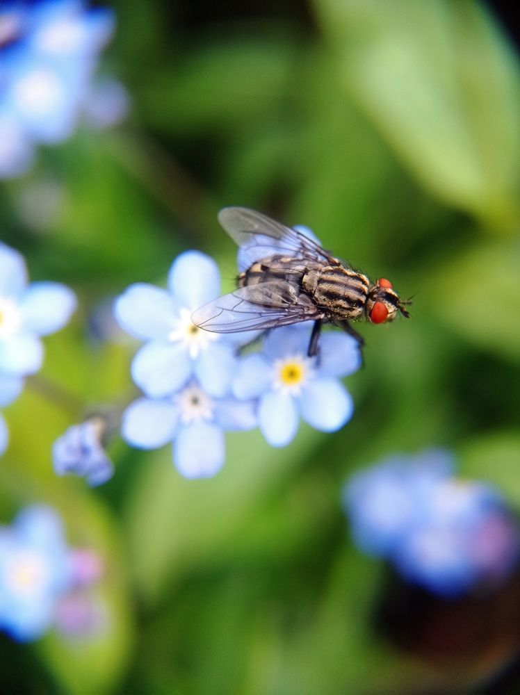 Photograph by Ольга Третьякова