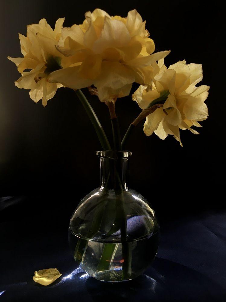 Photograph by Екатерина Фокина