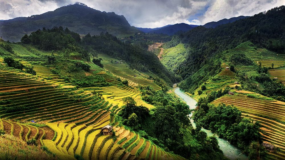 Photograph by Ly Tu Ngan