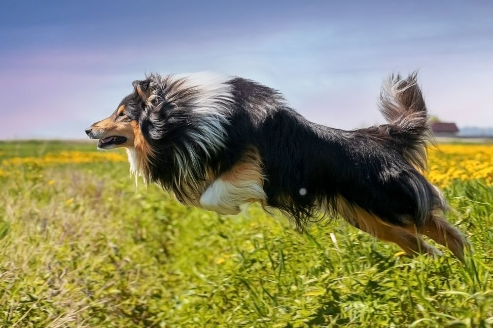 Photograph by Дина Колдомова