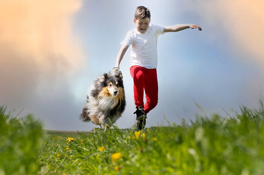 Photograph by Дина Колдомова