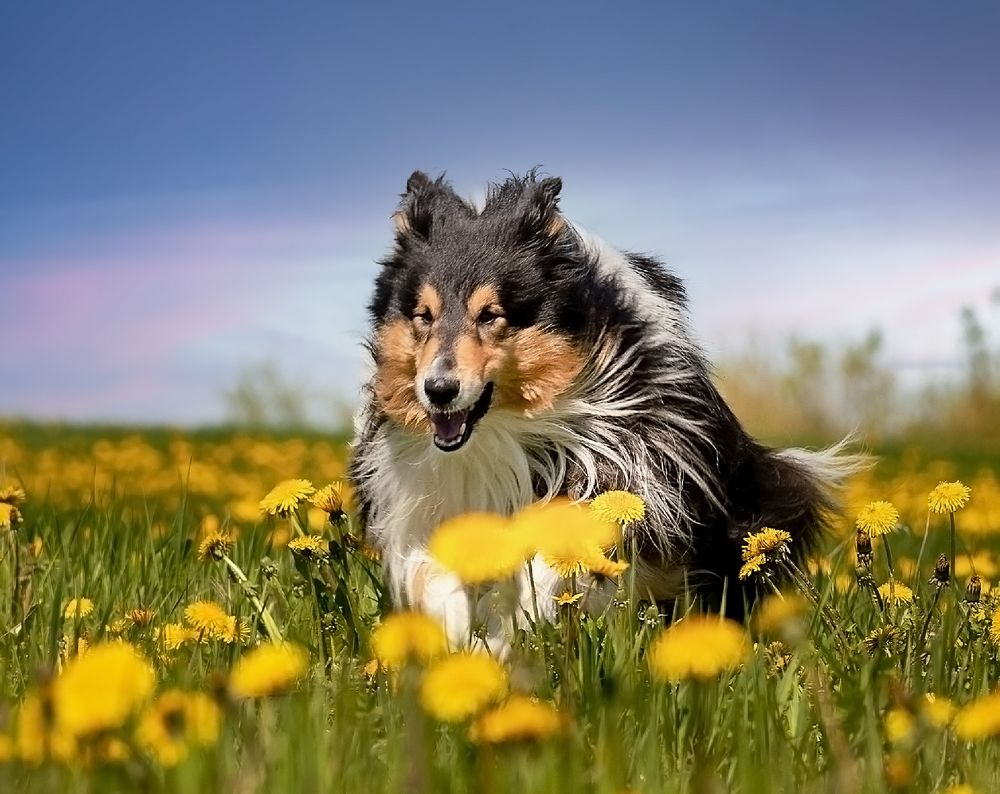 Photograph by Дина Колдомова