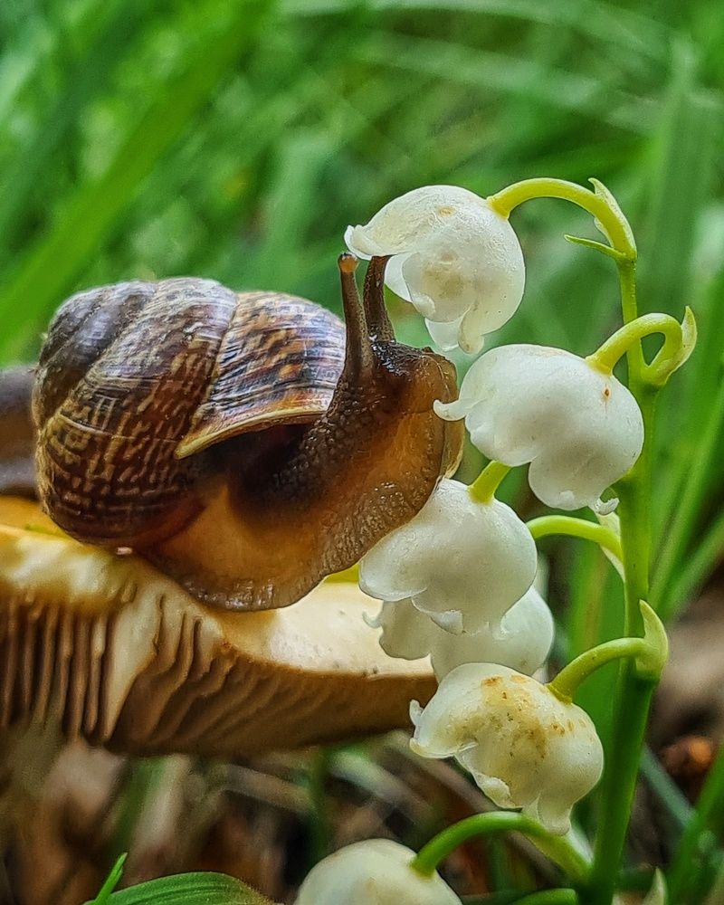 Photograph by Татьяна Соколовская