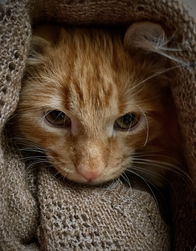 Photograph by Екатерина Фокина