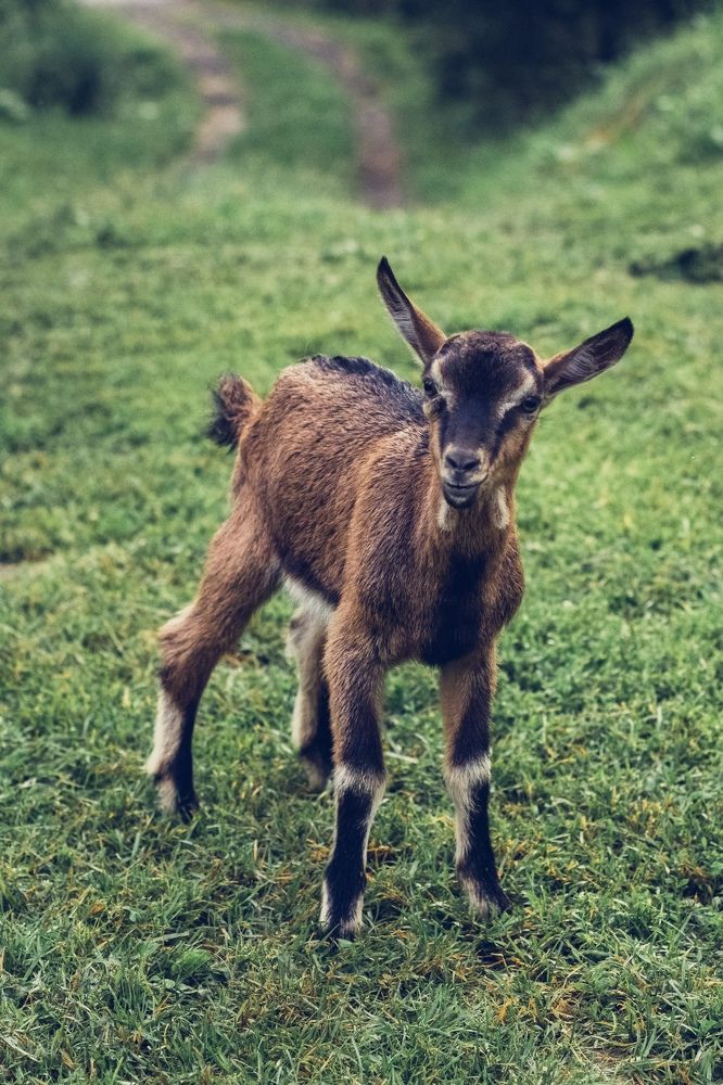 Photograph by Екатерина Фокина
