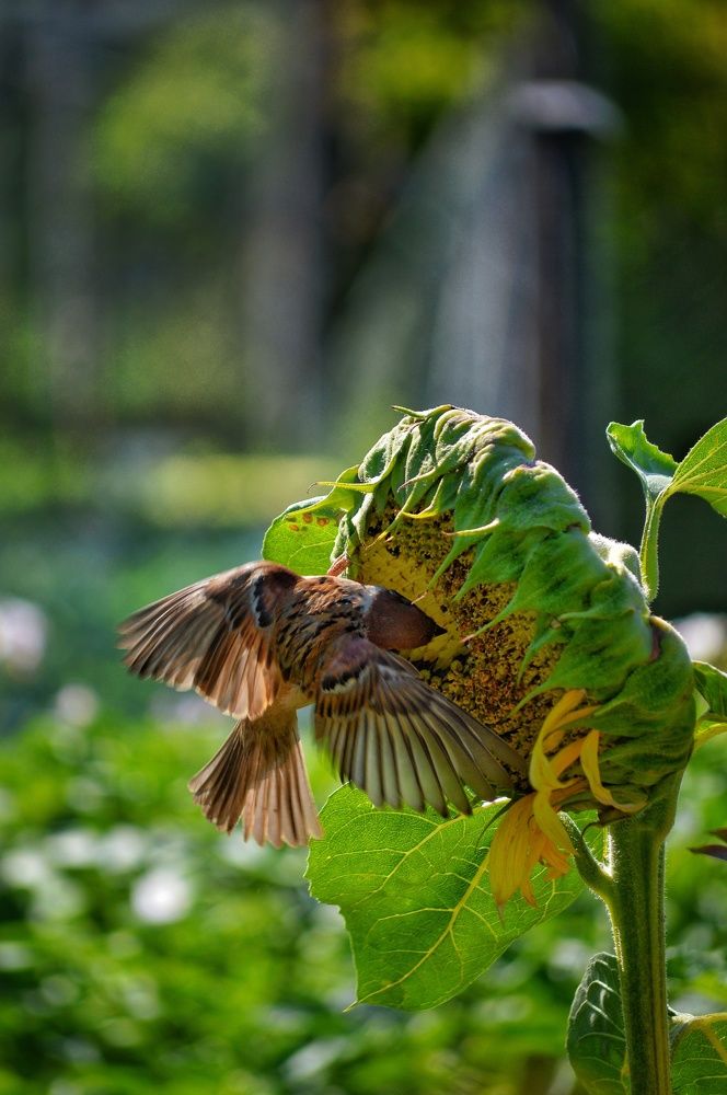 Photograph by Жанна Макарова