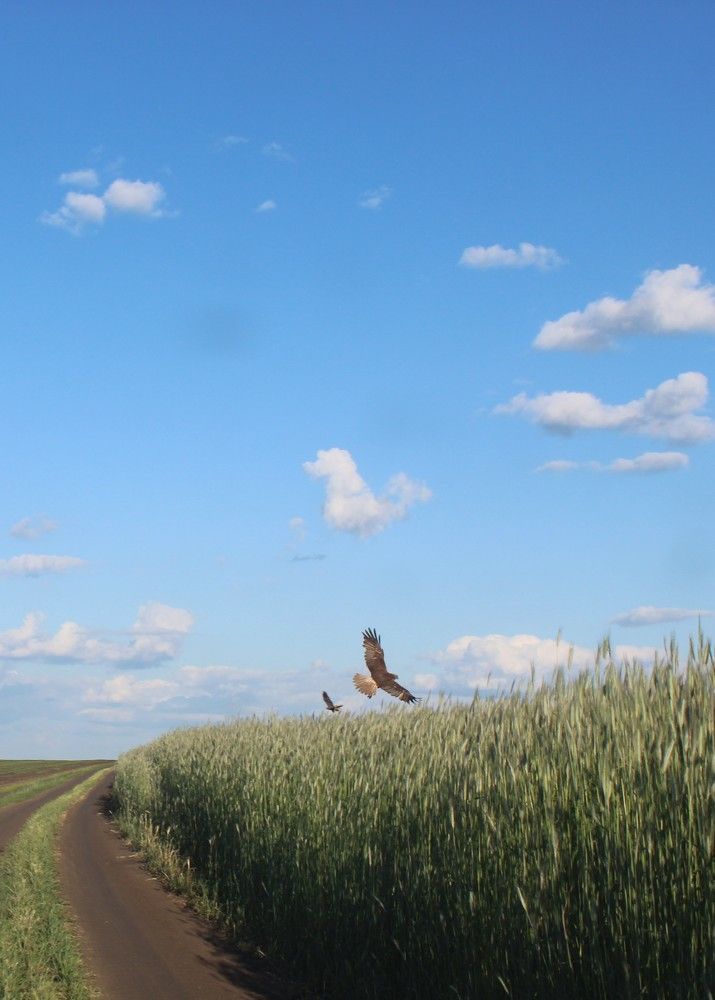 Photograph by Елена Калганова