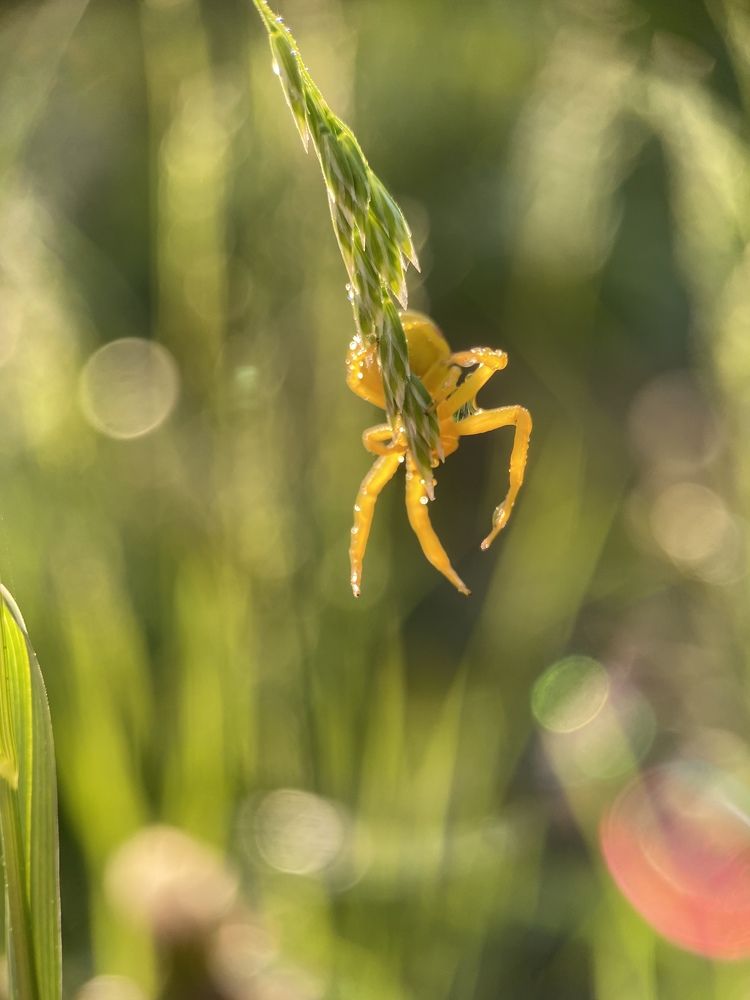 Photograph by Анна Бобкова