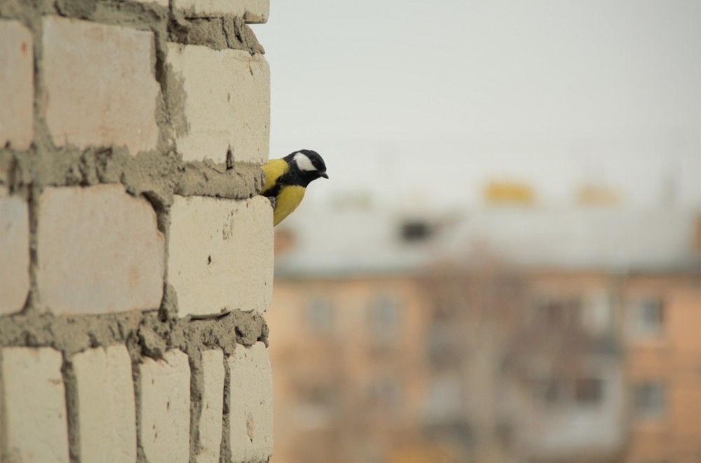 Photograph by Ирина Фатеева