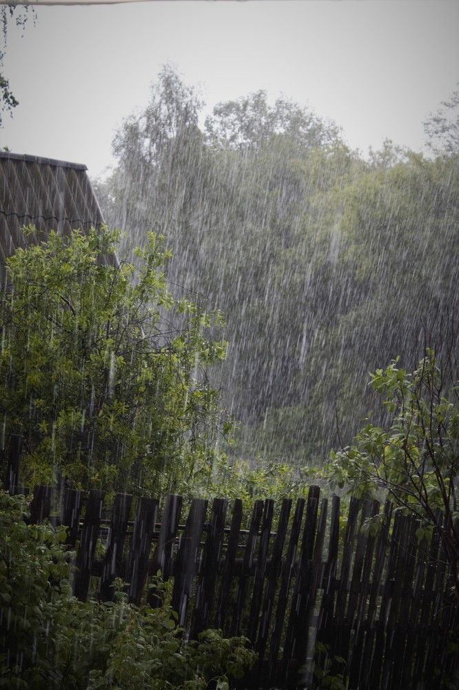 Photograph by Ирина Фатеева