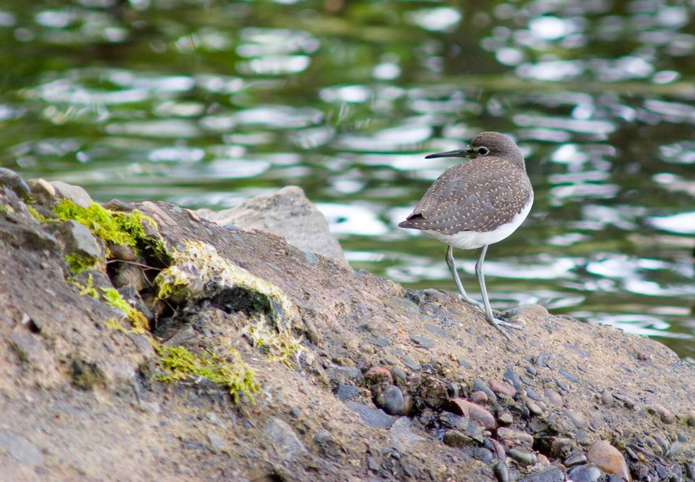 Photograph by Панюшкин Андрей