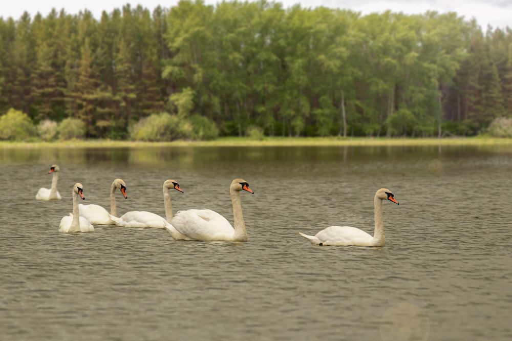 Photograph by Валерий Шорохов