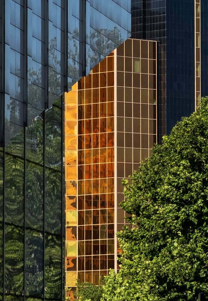 Фотография автора Javid Hashimov