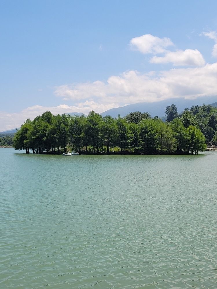 Photograph by najmeh hakimaei