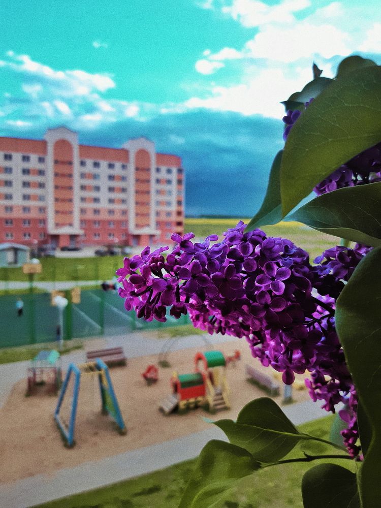 Photograph by Liudmila Pilets