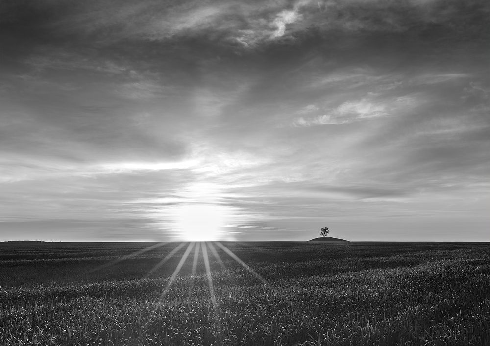 Photograph by Сергей Степанов