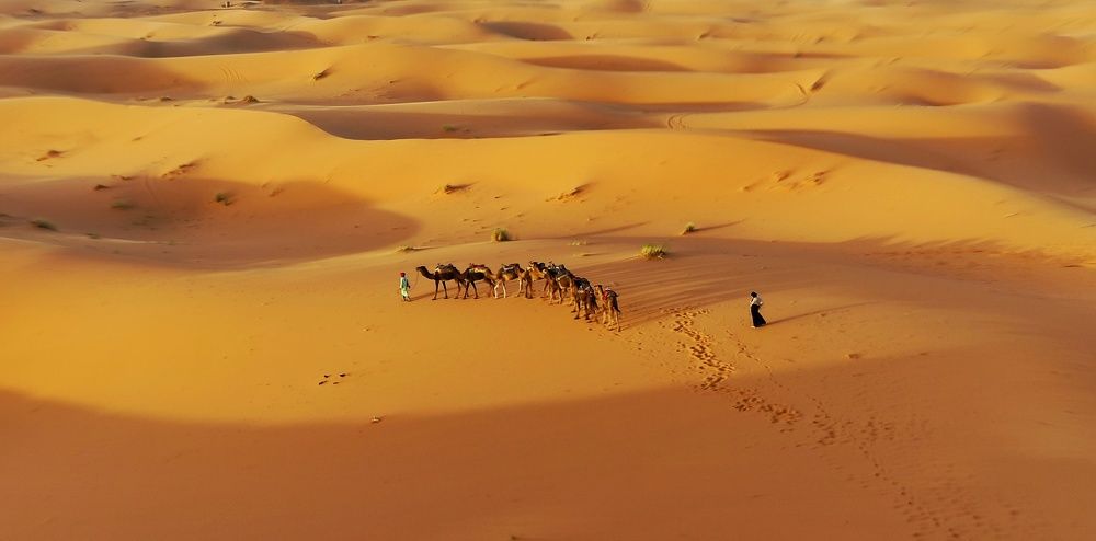 Фотография автора Александър Александров