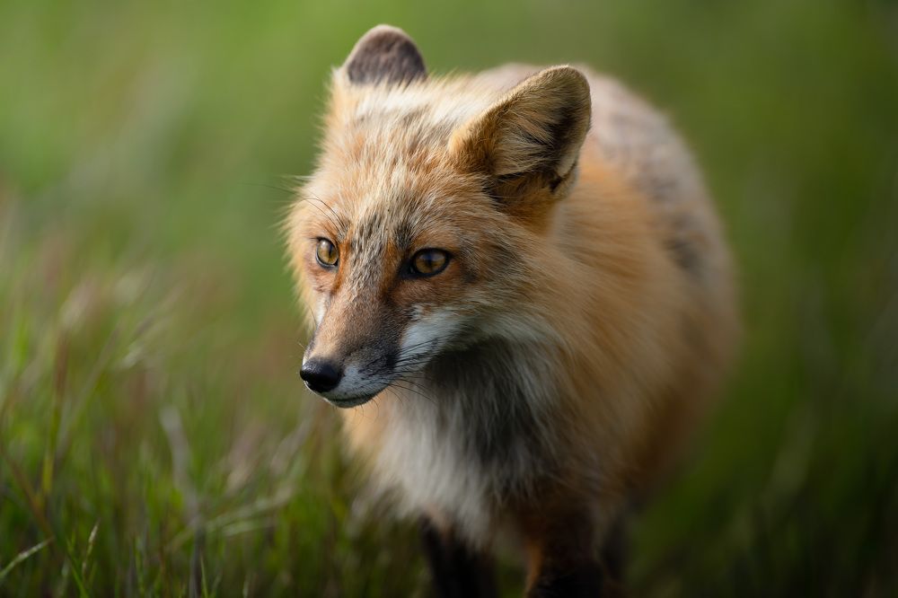 Фотография автора Karthik Subramaniam