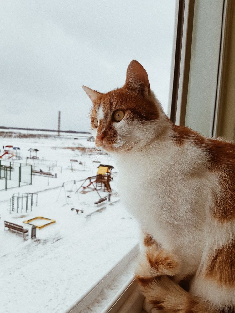 Photograph by Liudmila Pilets