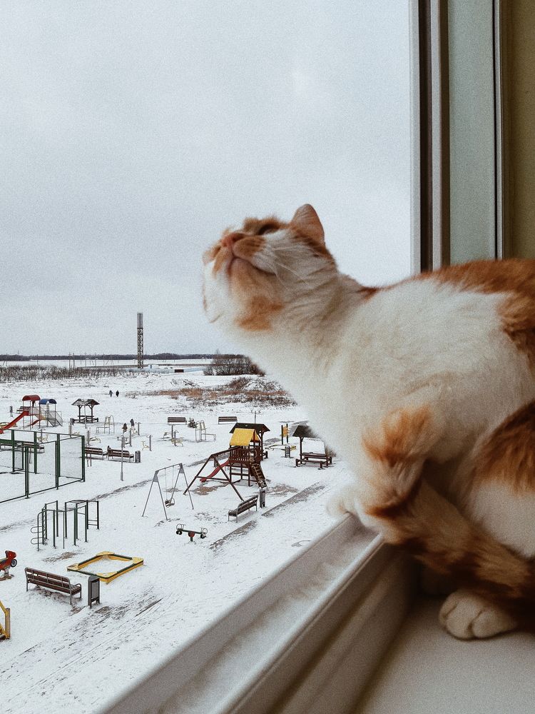 Photograph by Liudmila Pilets