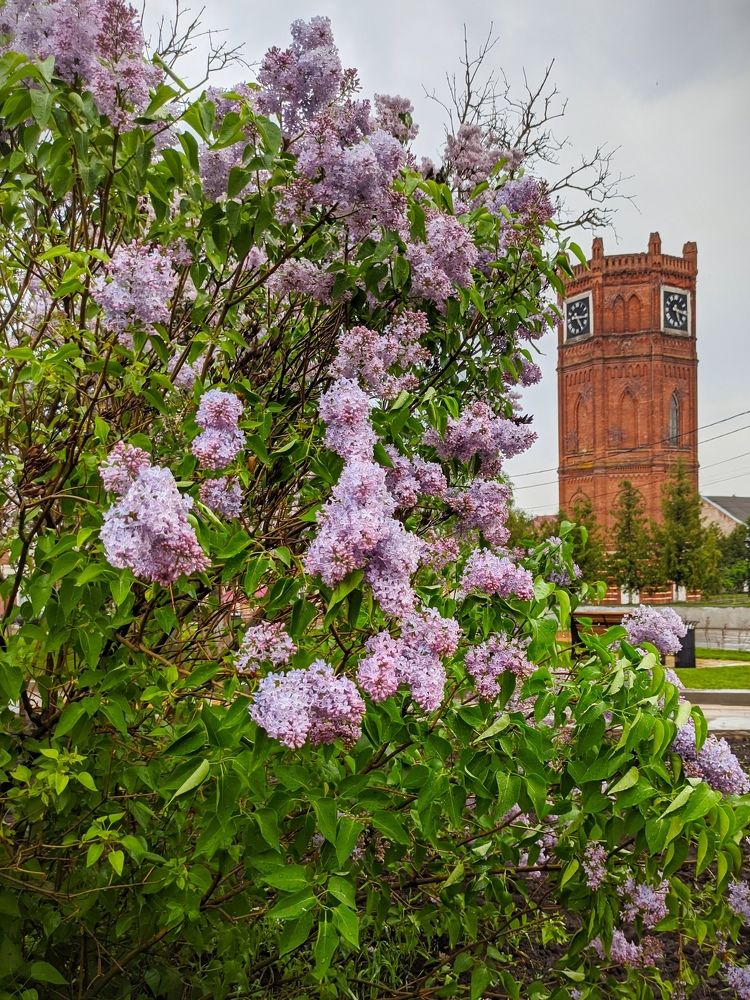 Photograph by Елена Малютина