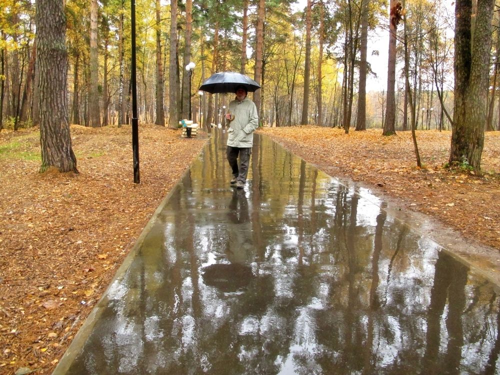 Прогулка под дождем