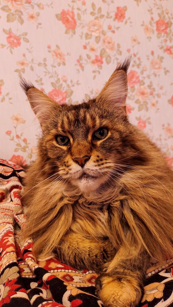 Photograph by Марина Пшен