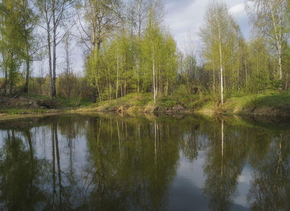 Photograph by Веденин Егор