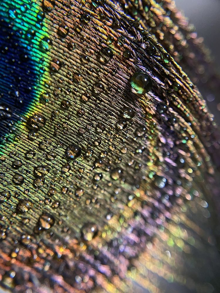 Photograph by Анна Бобкова