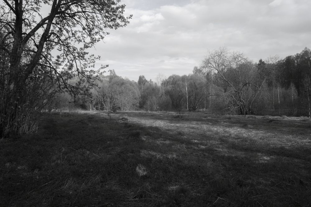 Photograph by Веденин Егор