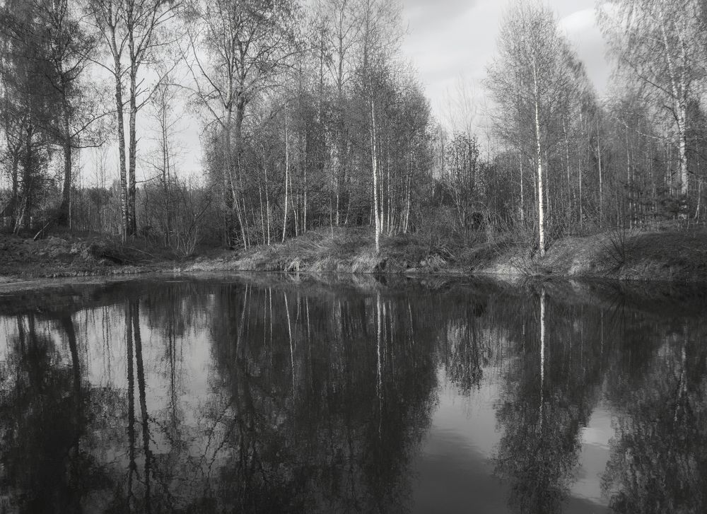 Photograph by Веденин Егор