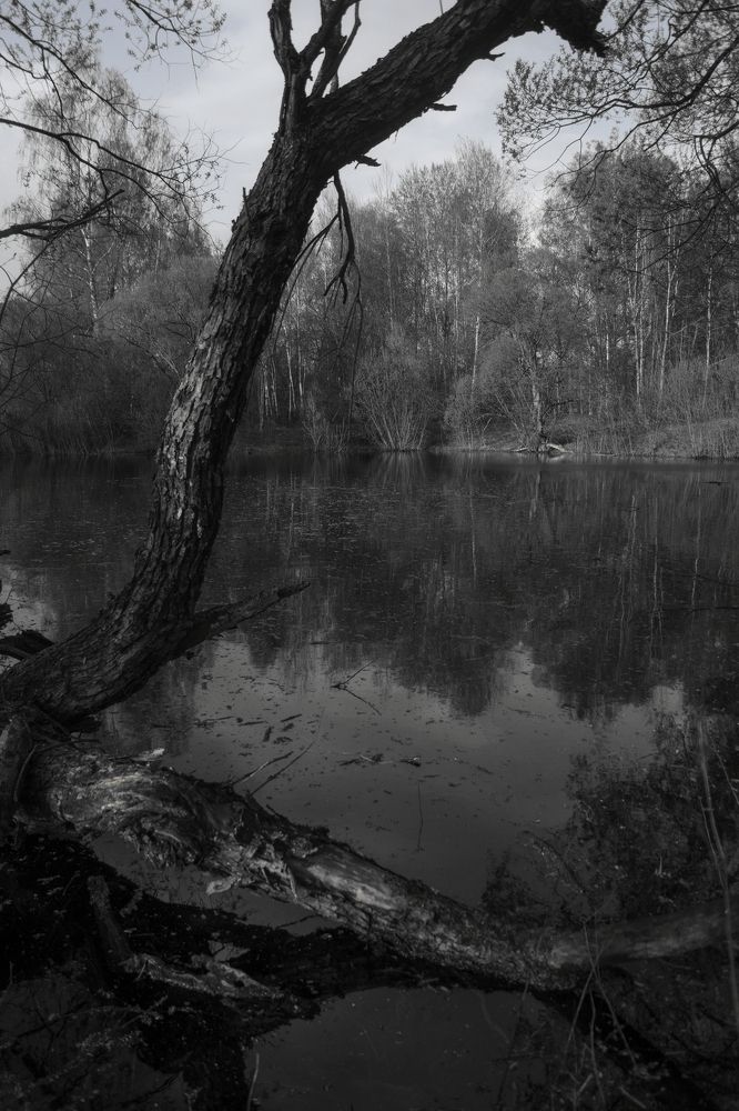 Photograph by Веденин Егор
