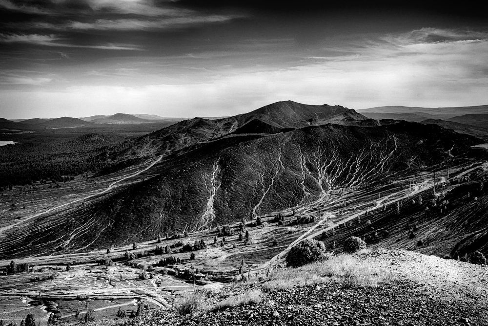 Фотография автора Борисова Мария