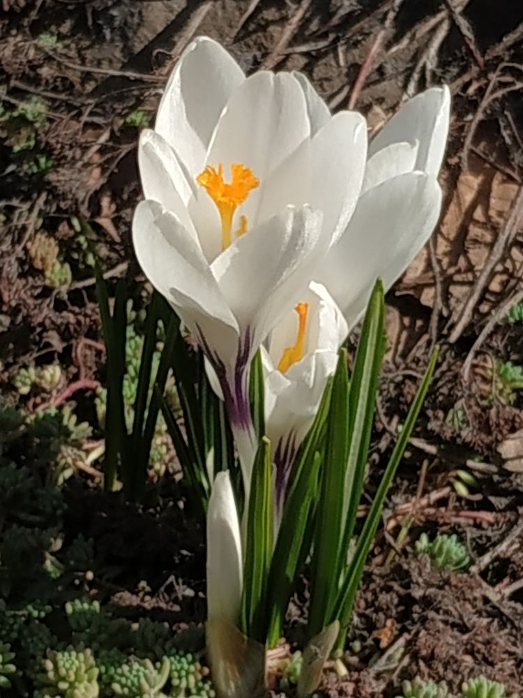 Photograph by Екатерина Евгеньевна