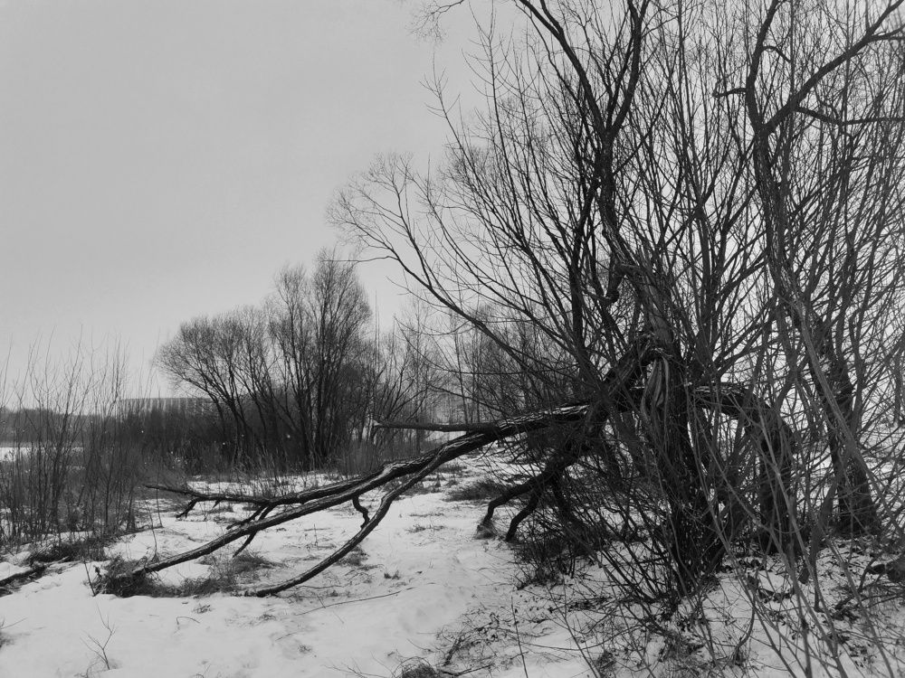 Photograph by Надежда