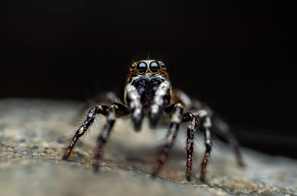 Photograph by Глеб Коровко