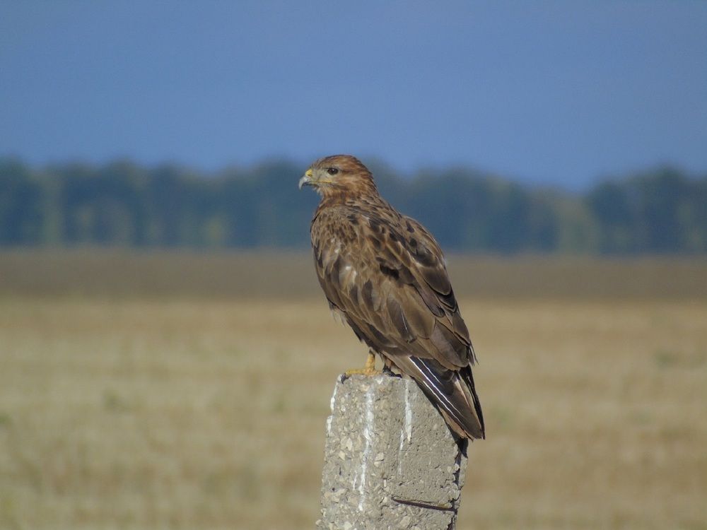 Photograph by Денис Веску