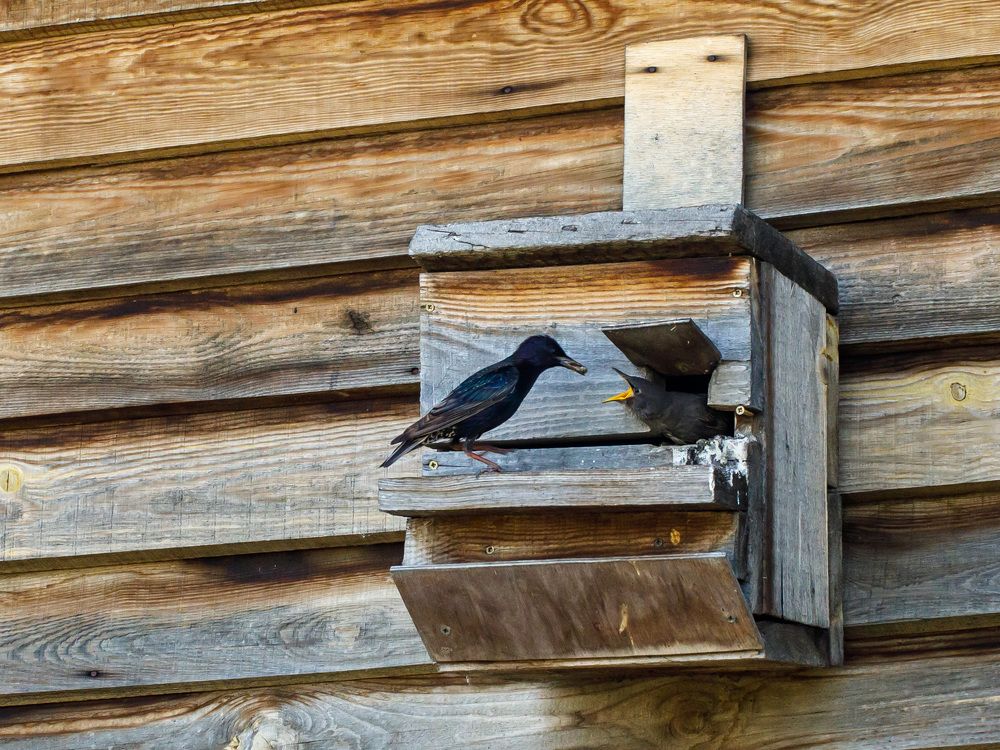 Photograph by Людмила Аксенова