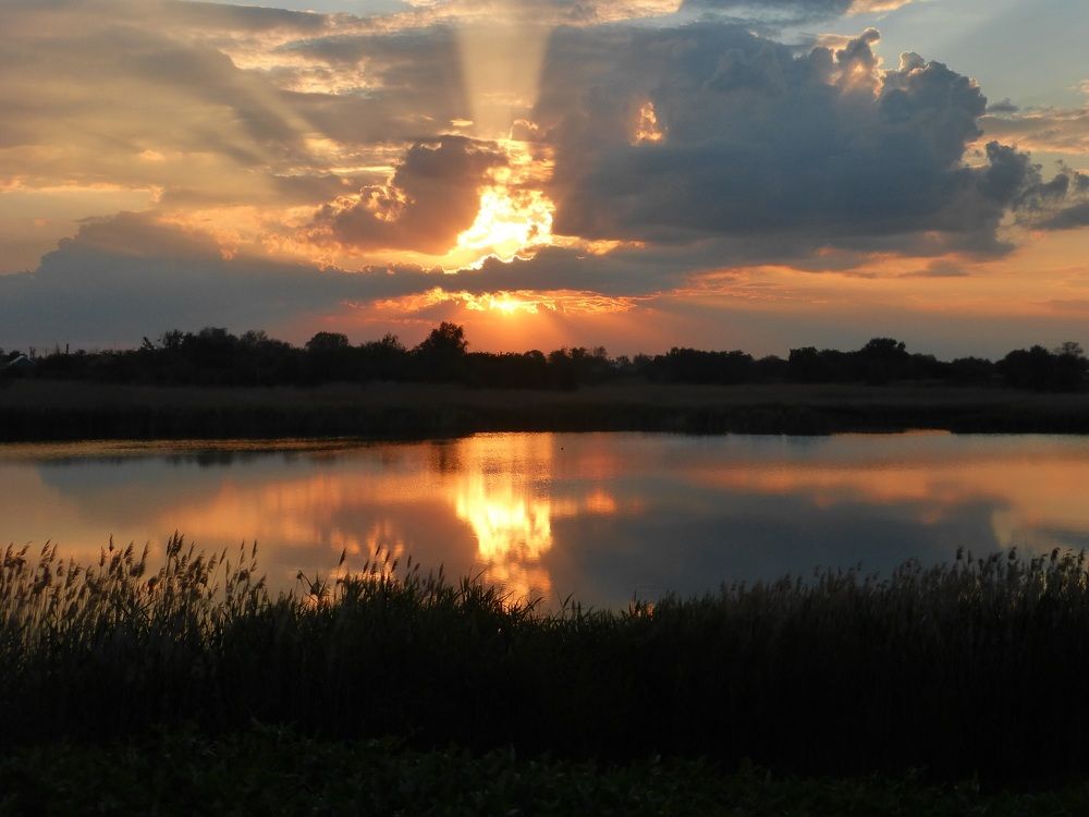 Photograph by Денис Веску