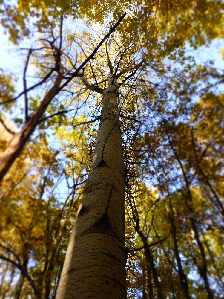 Photograph by Денис Веску