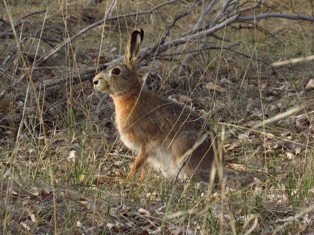 Photograph by Денис Веску